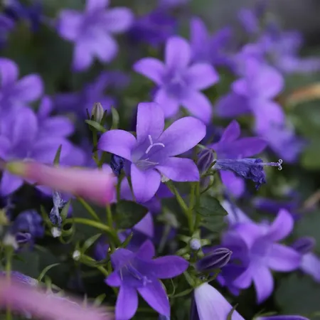 With Parking Space Moscenicka Draga, Opatija - 7746 Apartamento