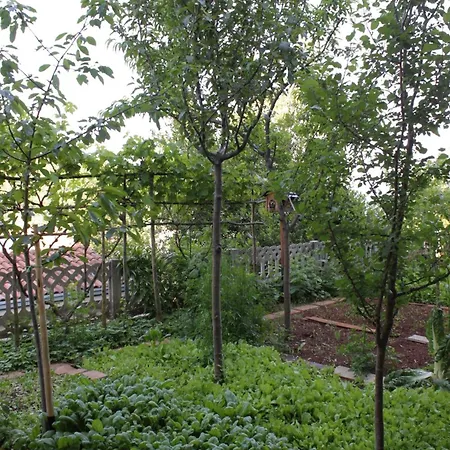 With Parking Space Moscenicka Draga, Opatija - 7746 Apartamento