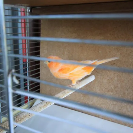 Apartamento With Parking Space Moscenicka Draga, Opatija - 7746 Mošćenička Draga