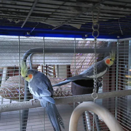 Apartamento With Parking Space Moscenicka Draga, Opatija - 7746 *