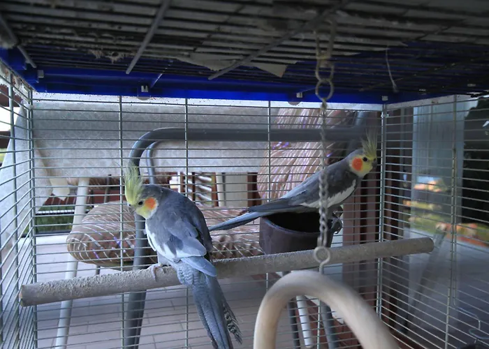 شقة With Parking Space Moscenicka Draga, Opatija - 7746 *